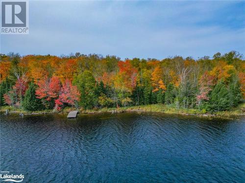 View from water - 1140 Gooseneck Lake, Whitestone, ON 