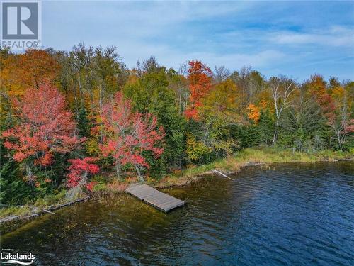 Property with dock - 1140 Gooseneck Lake, Whitestone, ON 