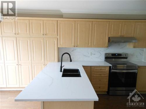 KItchen-ample counter and cupboard space. - 101 Shirley'S Brook Drive, Ottawa, ON - Indoor Photo Showing Kitchen With Double Sink