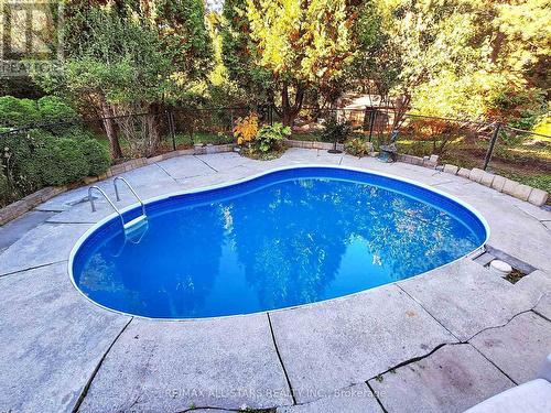 40 Riverglen Drive, Georgina, ON - Outdoor With In Ground Pool With Backyard