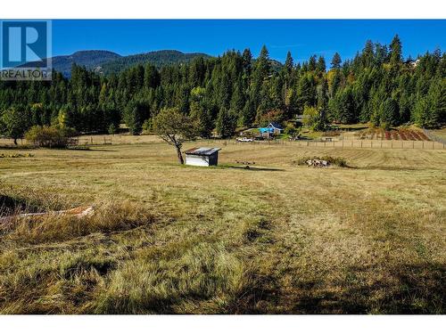 2697 Shoreacres  Road, Castlegar, BC - Outdoor With View