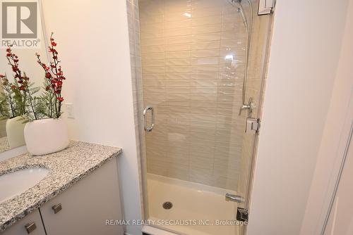 12 Velvet Way, Thorold, ON - Indoor Photo Showing Bathroom