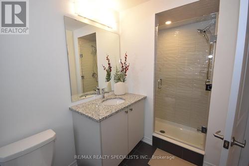 12 Velvet Way, Thorold, ON - Indoor Photo Showing Bathroom