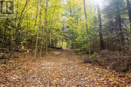 0 Brunel Road S, Huntsville, ON - Outdoor With View