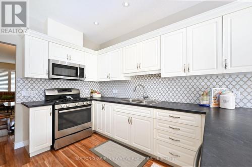 14 Murphy Lane, Hamilton, ON - Indoor Photo Showing Kitchen With Double Sink