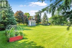 Fenced Backyard - 