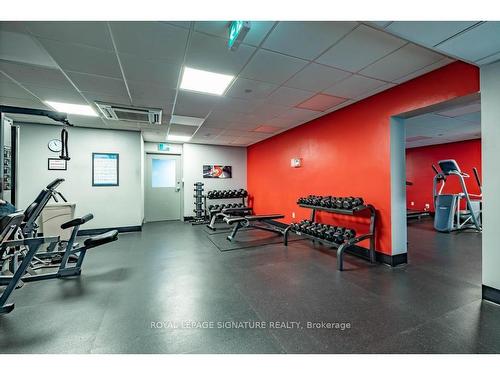 2310-40 Homewood Ave, Toronto, ON - Indoor Photo Showing Gym Room