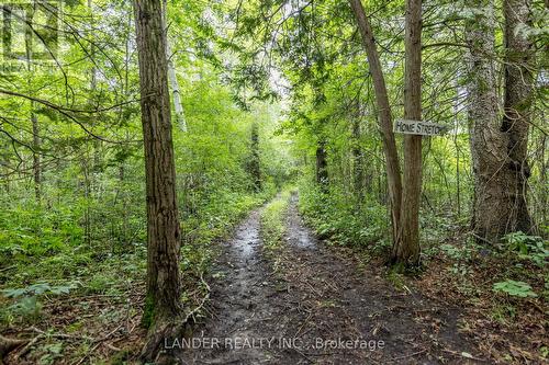 4634 Holborn Road, East Gwillimbury, ON - Outdoor With View