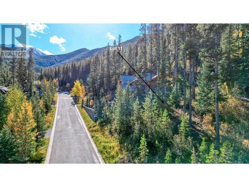 Lot 11 Greywolf  Drive, Panorama, BC 