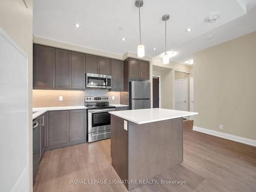 505-15 Lynch St, Brampton, ON - Indoor Photo Showing Kitchen With Stainless Steel Kitchen With Upgraded Kitchen