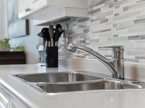 403-1234 Fort St, Victoria, BC - Indoor Photo Showing Kitchen With Double Sink