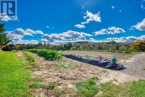 16082 Hwy 50, Caledon, ON 