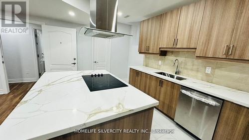 Bsmnt - 5 Valleyway Drive, Brampton, ON - Indoor Photo Showing Kitchen With Double Sink