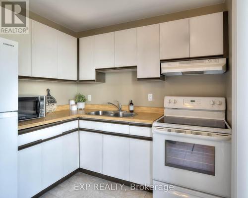 17 - 131 Traynor Avenue, Kitchener, ON - Indoor Photo Showing Kitchen With Double Sink