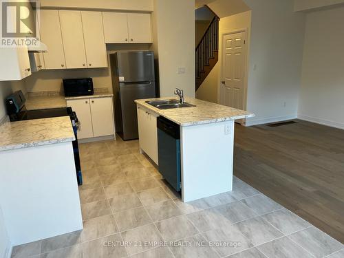 55 Selection Heights, Thorold, ON - Indoor Photo Showing Kitchen With Double Sink