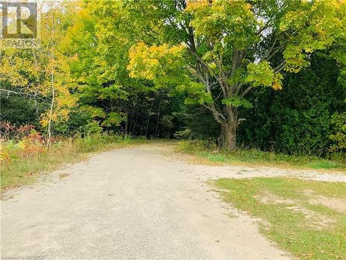 End driveway - 20 Cape Hurd Road S, Tobermory, ON - Outdoor