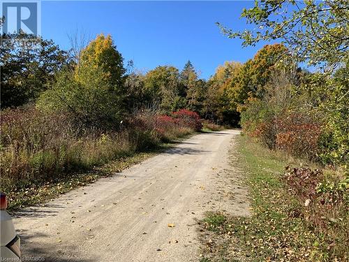 Private driveway access - 20 Cape Hurd Road S, Tobermory, ON - Outdoor With View