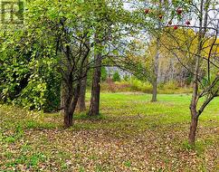 Extra front yard views from driveway - 