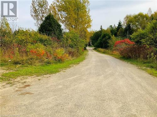 Street view from end of driveway - 20 Cape Hurd Road S, Tobermory, ON - Outdoor With View