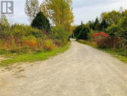 Street view from end of driveway - 