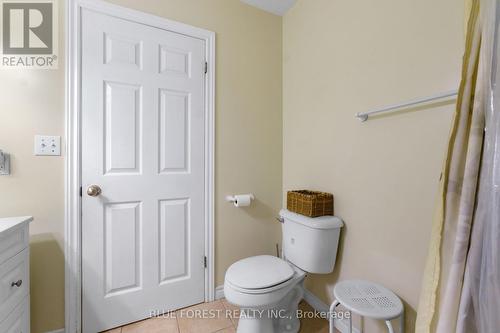 8 Elgin Street, Newbury, ON - Indoor Photo Showing Bathroom