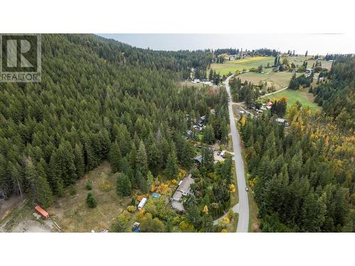 668 Mobley Road, Tappen, BC - Outdoor With View