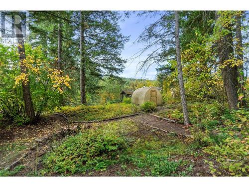 668 Mobley Road, Tappen, BC - Outdoor