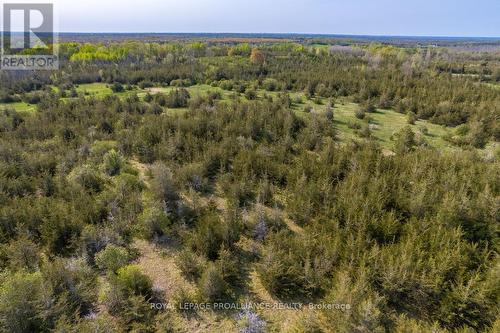 Ptlt 36 Enright Road, Tyendinaga, ON 