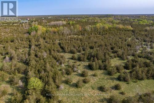 Ptlt 36 Enright Road, Tyendinaga, ON 