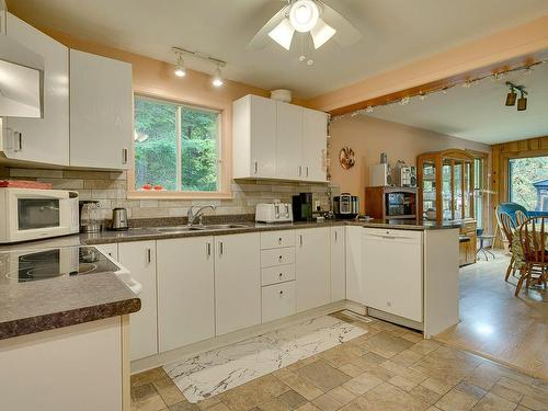 Kitchen - 1224 Ch. D'Entrelacs, Sainte-Marguerite-Du-Lac-Masson, QC - Indoor Photo Showing Kitchen With Double Sink