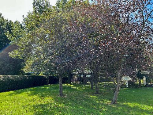 Backyard - 325Z 4E Rang De Simpson, Saint-Cyrille-De-Wendover, QC 