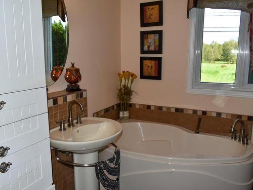 Bathroom - 325Z 4E Rang De Simpson, Saint-Cyrille-De-Wendover, QC 