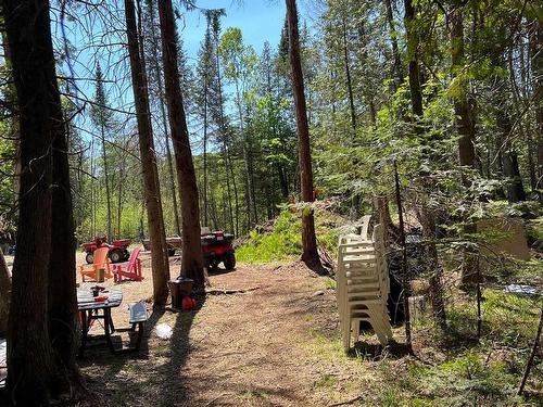 Terre/Terrain - Rue Du Lac-Wilson, Grenville-Sur-La-Rouge, QC 