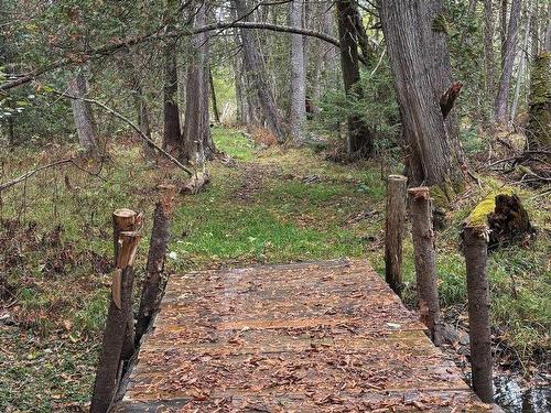 Terre/Terrain - Rue Du Lac-Wilson, Grenville-Sur-La-Rouge, QC 