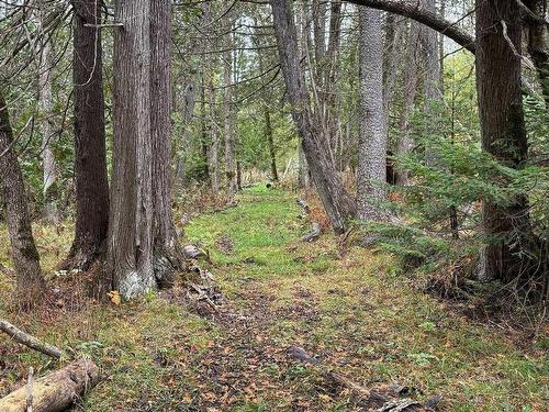 Terre/Terrain - Rue Du Lac-Wilson, Grenville-Sur-La-Rouge, QC 