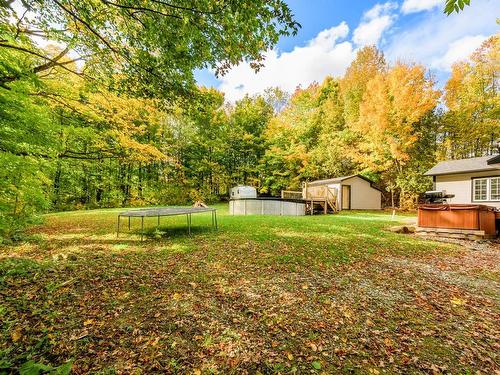 Backyard - 535 Route 222, Maricourt, QC - Outdoor