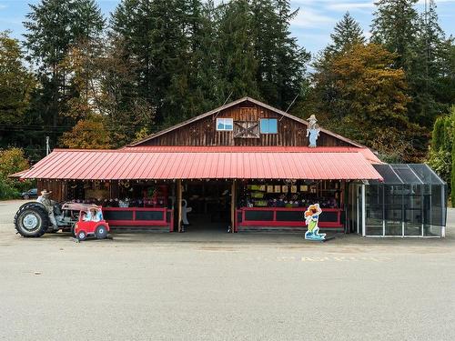 2711 Mt. Sicker Rd, Chemainus, BC 