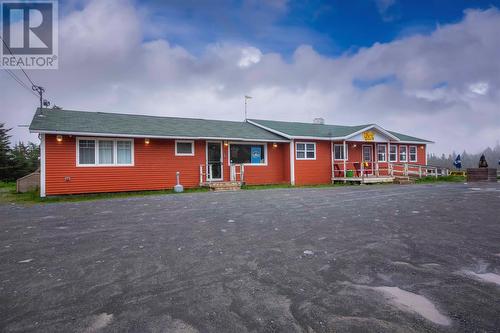 546 Salmonier Line, Holyrood, NL 