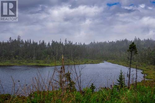 546 Salmonier Line, Holyrood, NL 