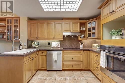 203 - 250 Sydenham Street, London, ON - Indoor Photo Showing Kitchen