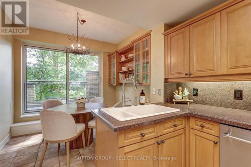 203 - 250 Sydenham Street, London, ON - Indoor Photo Showing Kitchen With Double Sink