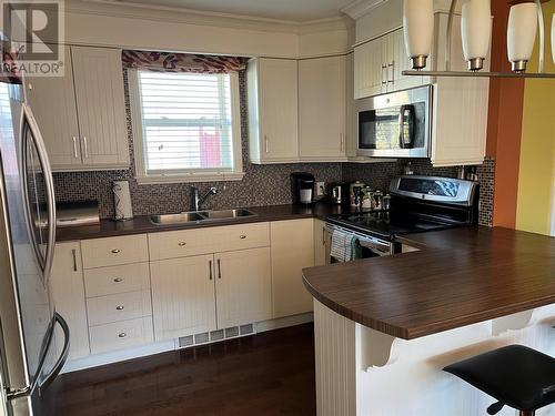 4 Exploits Lane, Grand Falls-Windsor, NL - Indoor Photo Showing Kitchen With Double Sink