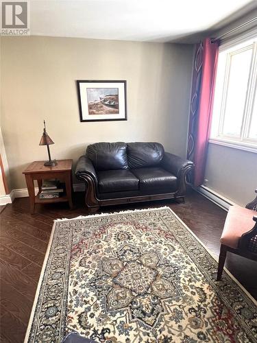 4 Exploits Lane, Grand Falls-Windsor, NL - Indoor Photo Showing Living Room