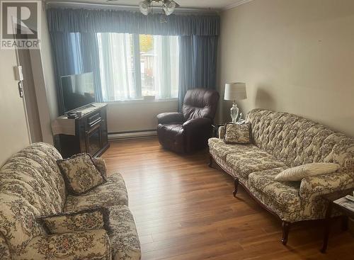 12 Hamel Street, St. John'S, NL - Indoor Photo Showing Living Room