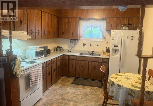 12 Hamel Street, St. John'S, NL - Indoor Photo Showing Kitchen With Double Sink