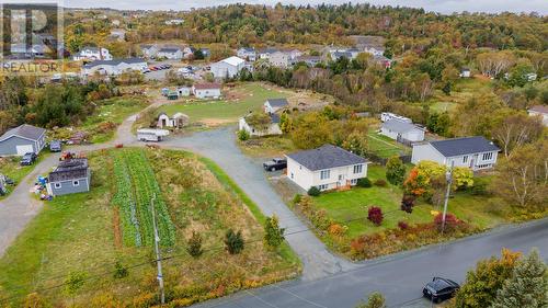 168 Greeleytown Road, Conception Bay South, NL - Outdoor With View