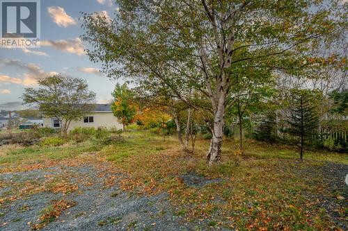 168 Greeleytown Road, Conception Bay South, NL - Outdoor With View