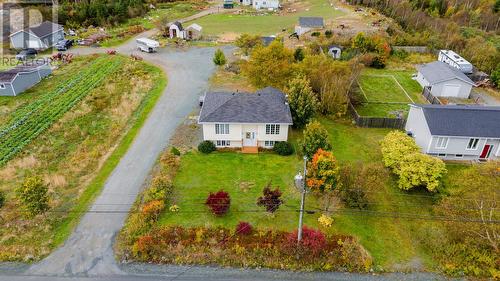 168 Greeleytown Road, Conception Bay South, NL - Outdoor With View