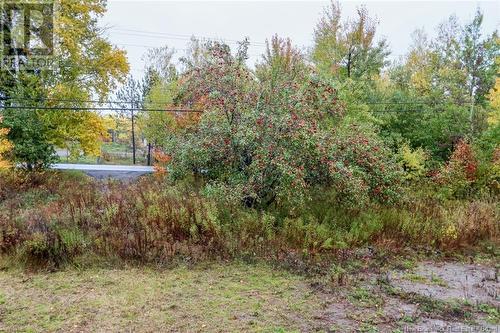 830 Gorge Road, Moncton, NB - Outdoor