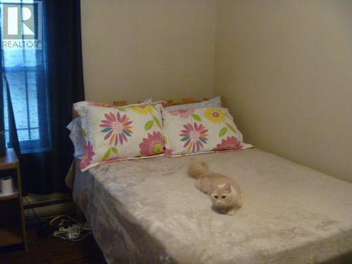 20 Fraize Avenue, Carbonear, NL - Indoor Photo Showing Bedroom